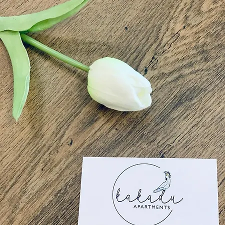 Apartment Carbona Kakadu 203 B *