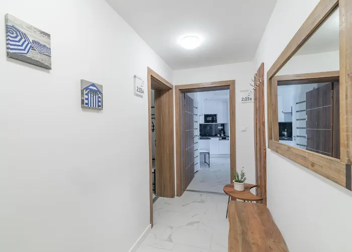 Carbona Kakadu 203 B